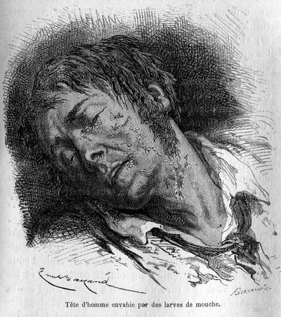 Nos ennemis, von Mangin von Émile Bayard